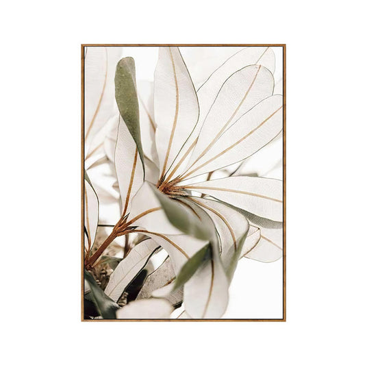 Coastal Banksia Leaves Framed Canvas Print 70x90